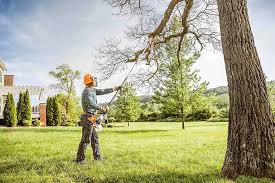 Trusted Geneva, IL Tree Removal Services Experts